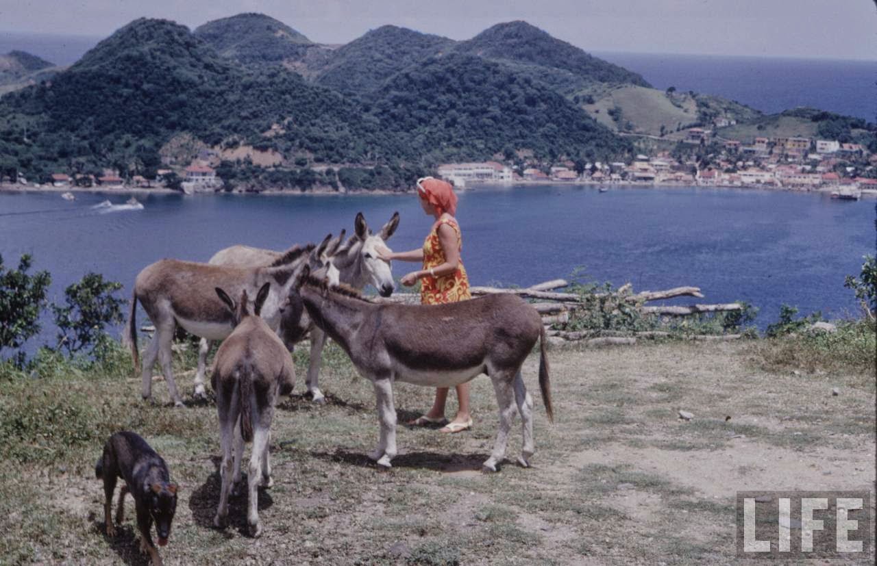 Caribbean in 1968 (22).jpg