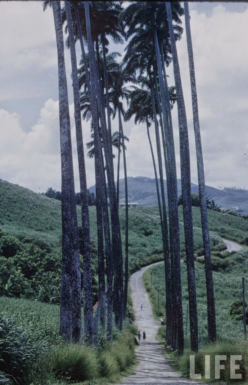 Caribbean in 1968 (7).jpg