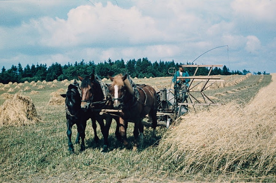 color_photos_of_the_third_reich_agriculture_in_mecklenburg_1938_2_.jpg