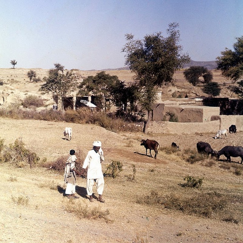 Pakistan in 1957 (1).jpg