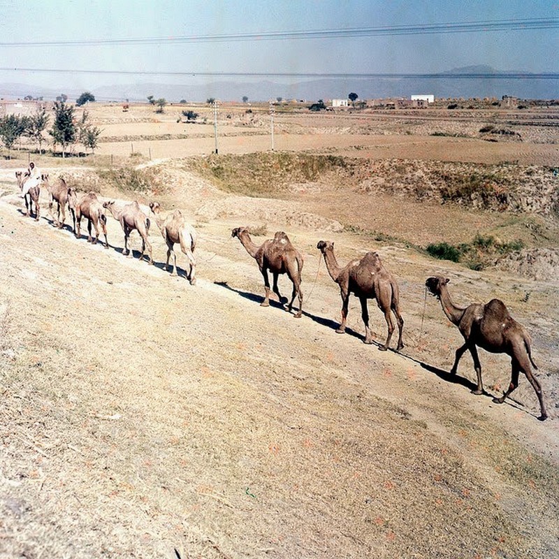 Pakistan in 1957 (10).jpg