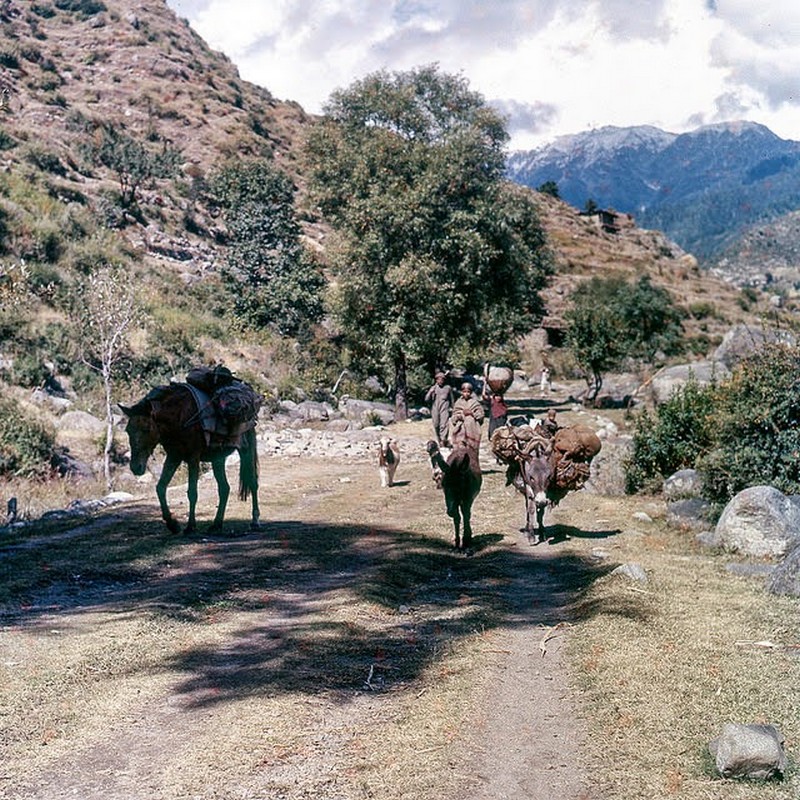 Pakistan in 1957 (7).jpg