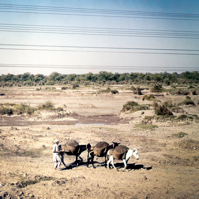 samz_pakistan1957_rural_scene_016.jpg