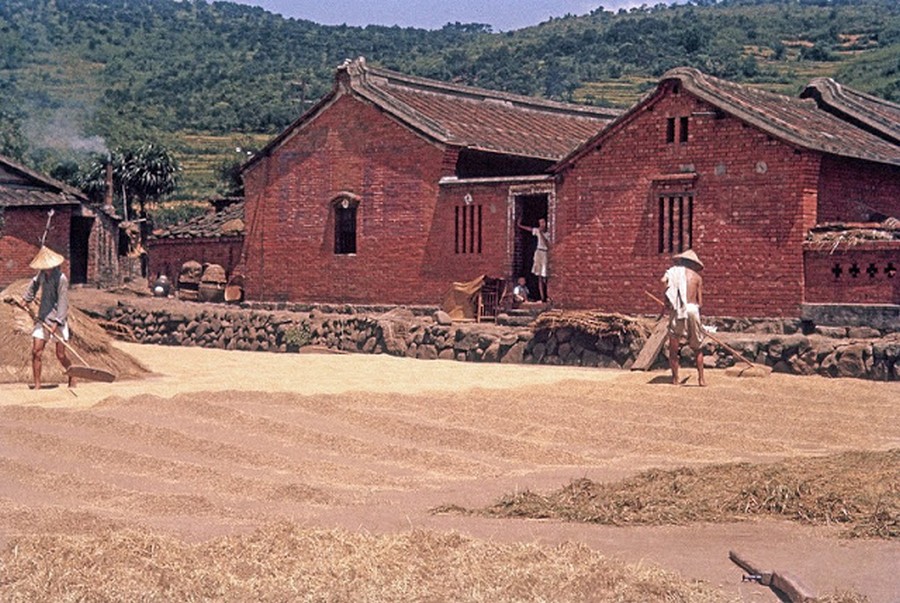 Color Photos of Life in Taiwan from 1950 to 1970 (4).jpg