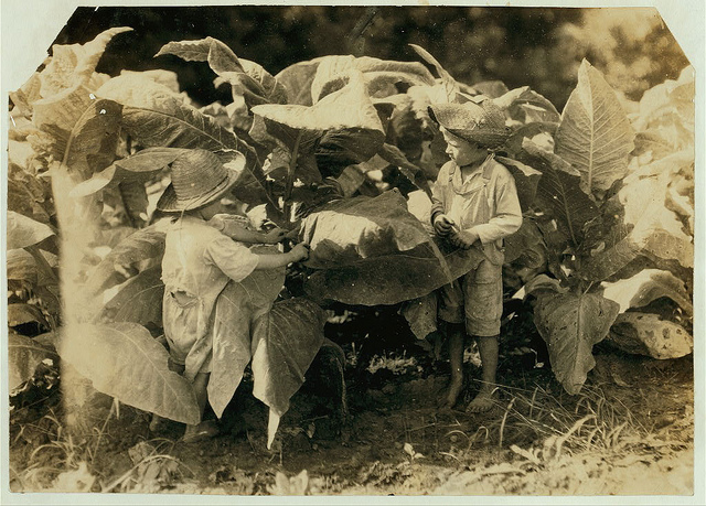 Old Photos of Child Labor between 1908 and 1924 (34).jpg