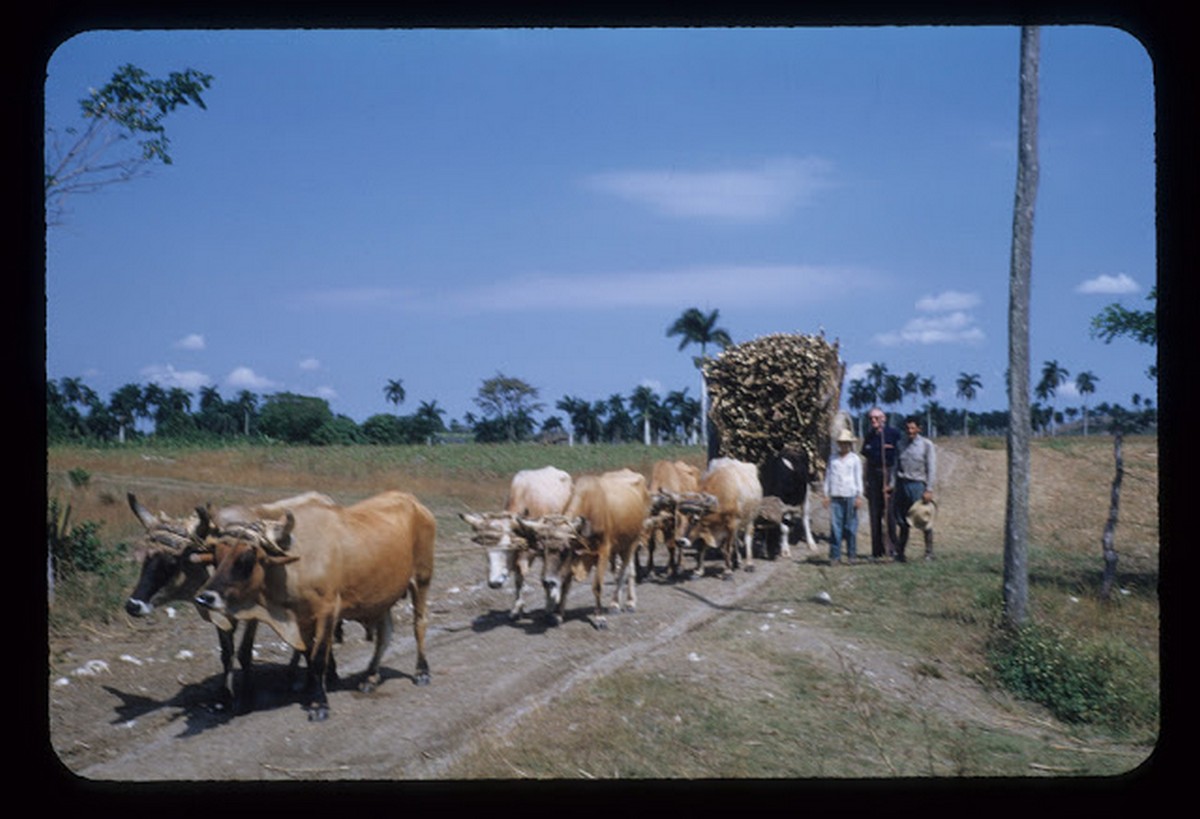 everyday_life_of_cuba_in_the_1950s_2816_29.jpg