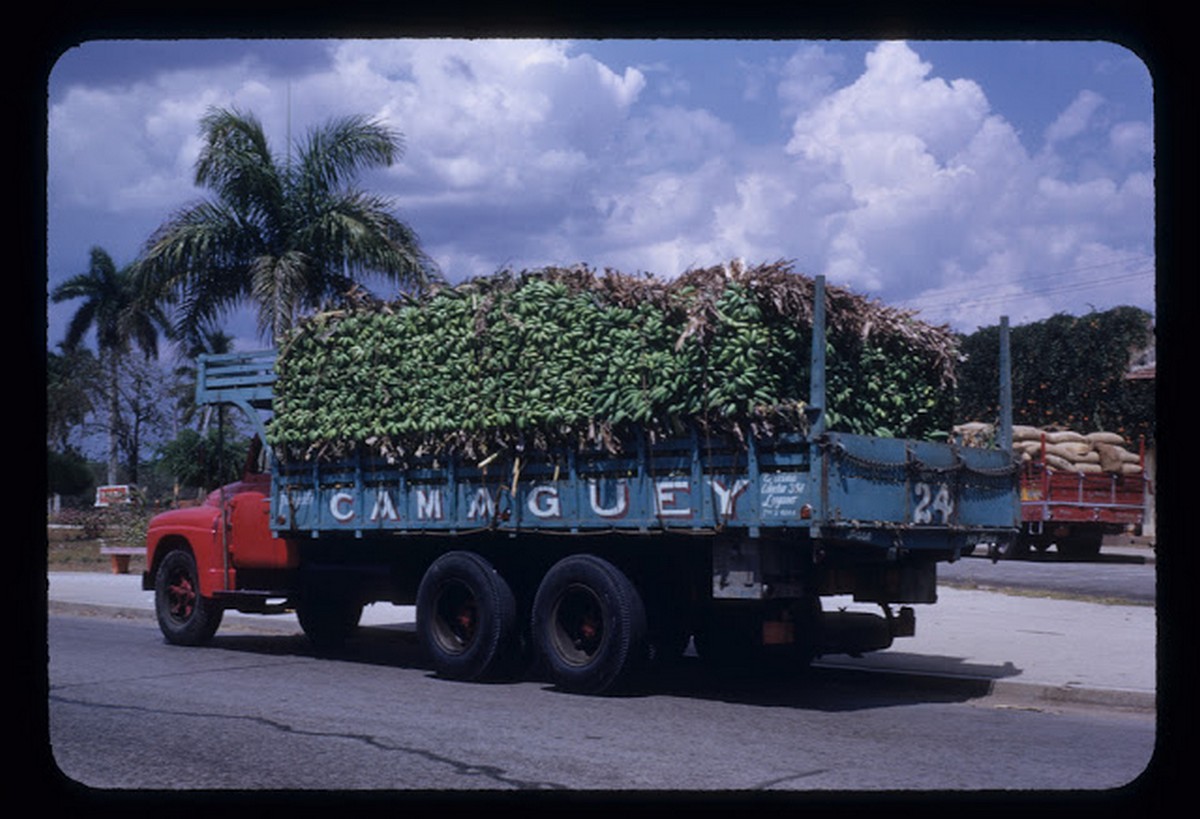 everyday_life_of_cuba_in_the_1950s_2828_29.jpg