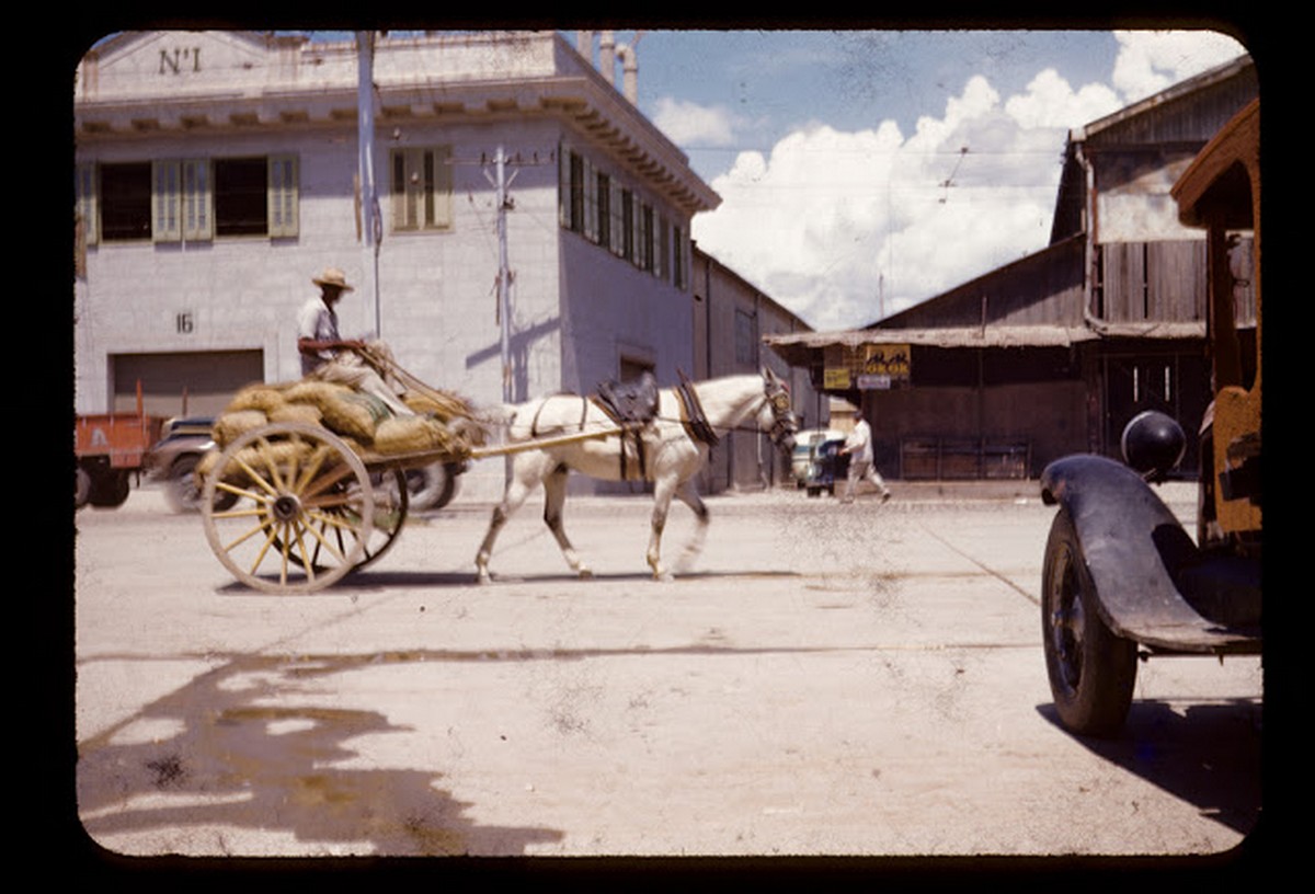 everyday_life_of_cuba_in_the_1950s_2832_29.jpg