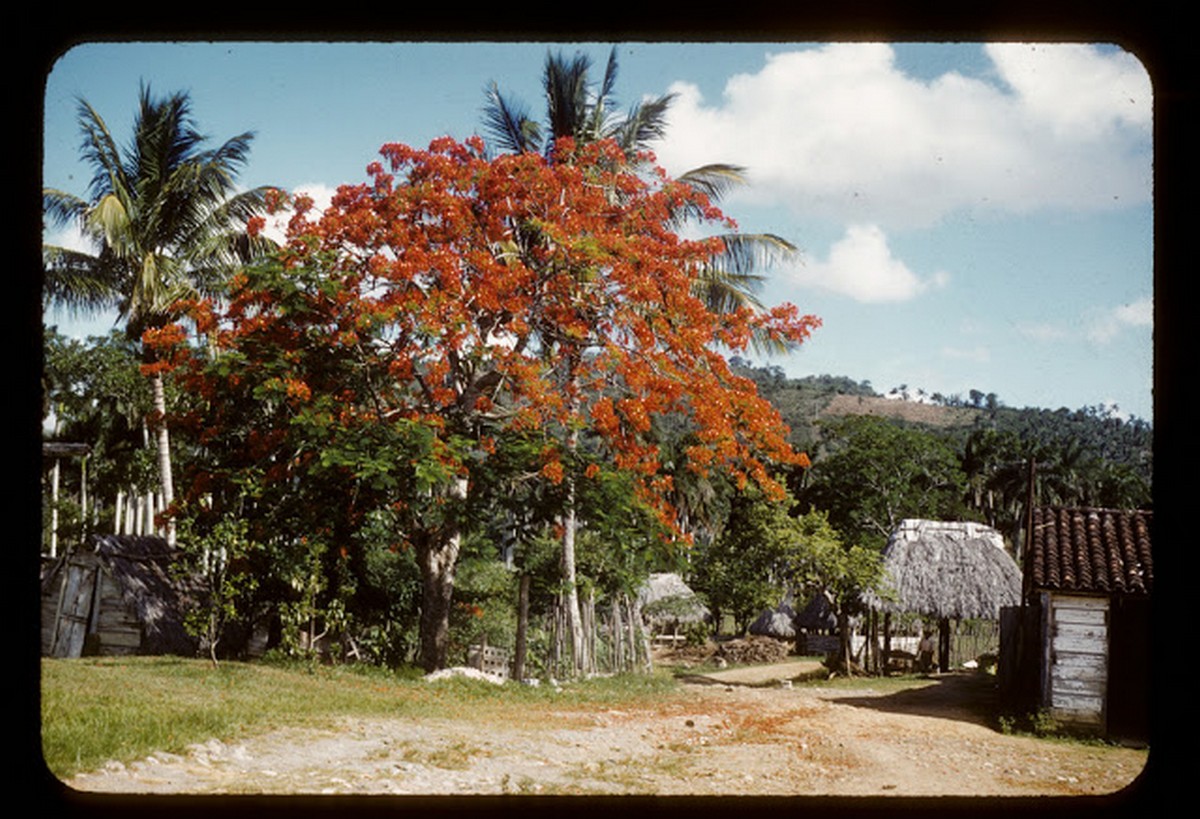 everyday_life_of_cuba_in_the_1950s_285_29.jpg