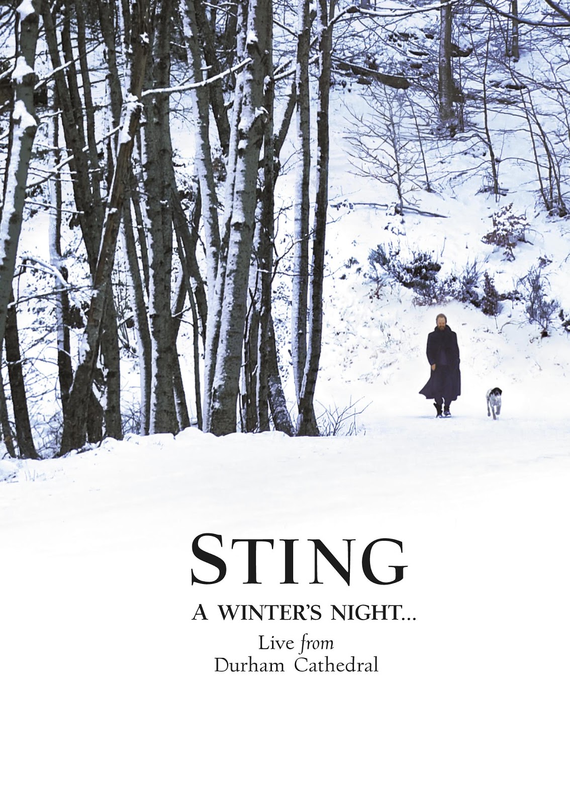 sting_winter_cover.jpg