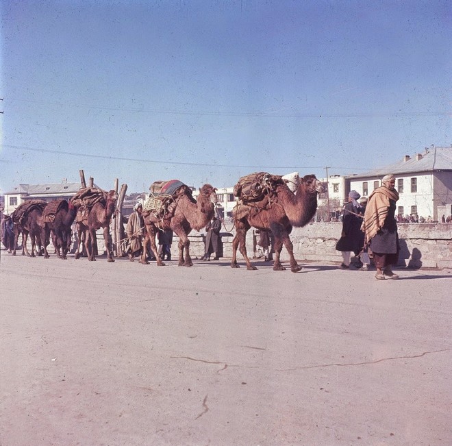 Afghanistan in the 1960s (9).jpg