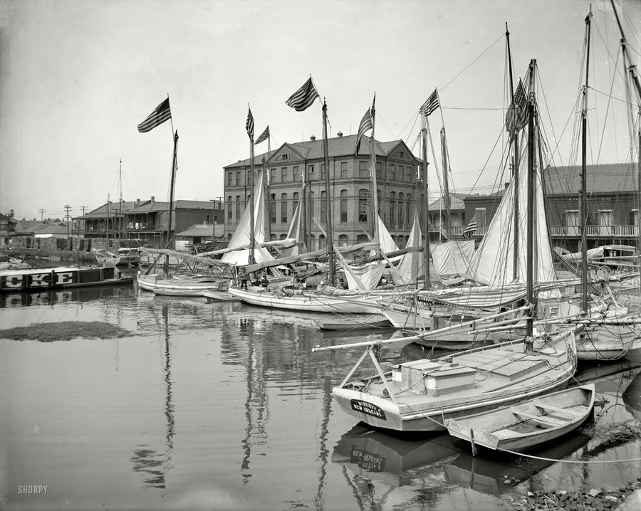 New Orleans from between the 1900s and 1910s (7).jpg