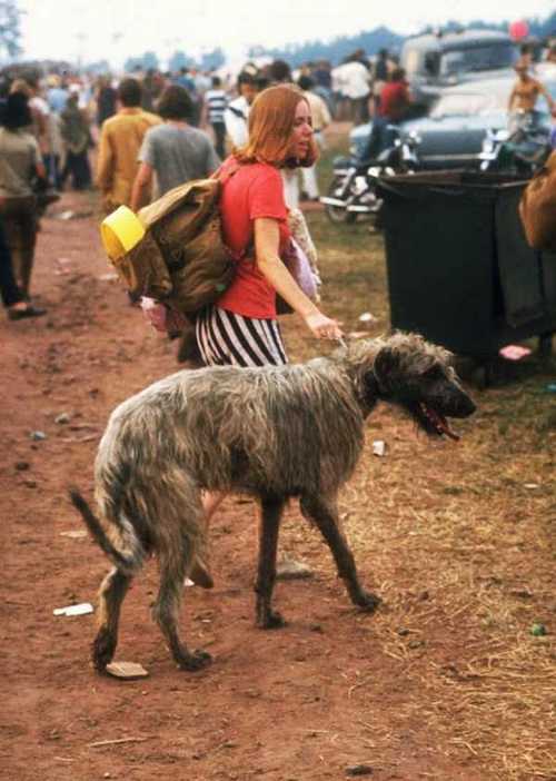 Photos-of-Life-at-Woodstock-1969-24.jpg