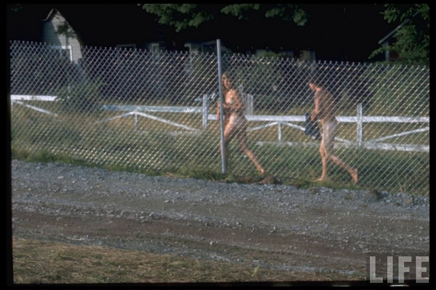 woodstock_1969_053.jpg