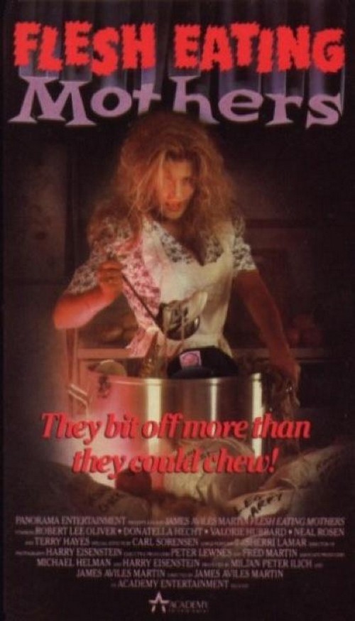 awesomely-bad-80s-vhs-cover-art-24-430-75.jpg