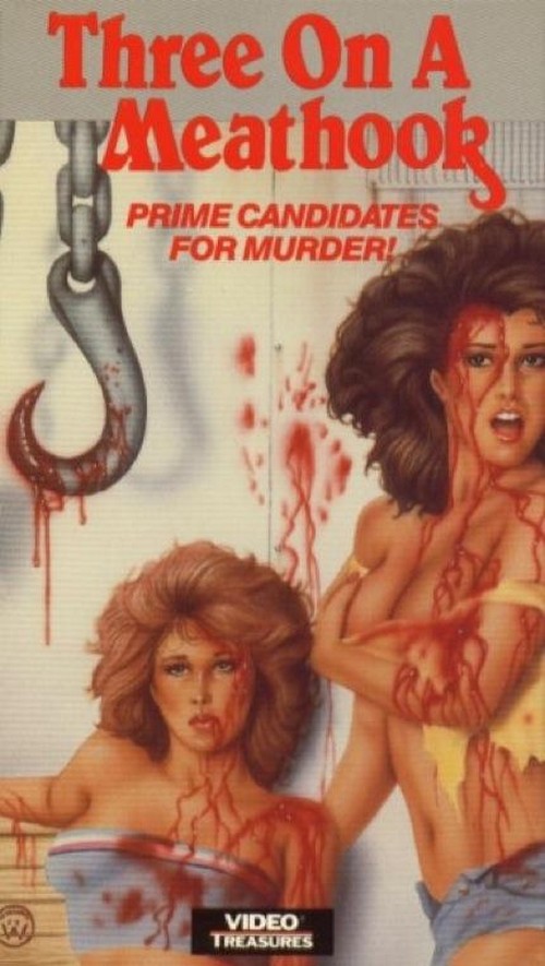 awesomely-bad-80s-vhs-cover-art-67-430-75.jpg