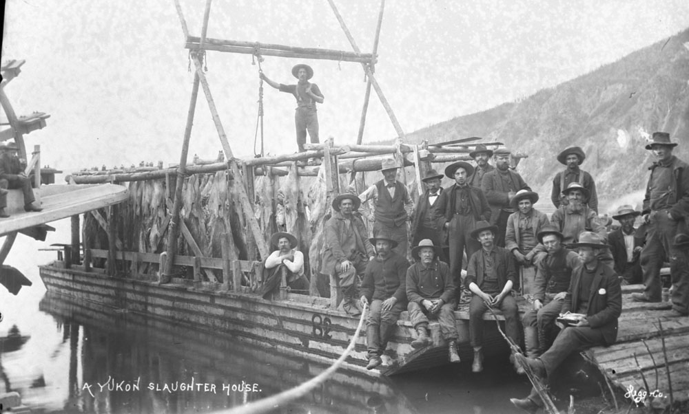1898. Vágóhíd-hajó a Yukon folyón Alaszkában a Klondike aranyláz idején..jpg