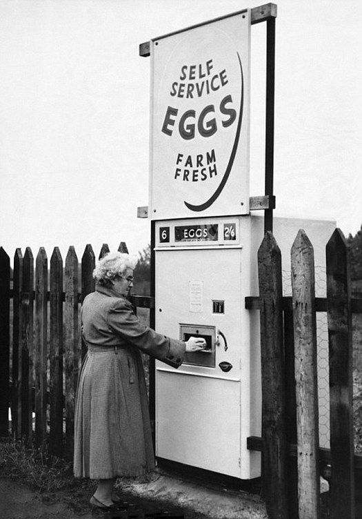 1960_derbyshire_england_uk_a_woman_collects_pre_packed_eggs_from-a.jpg