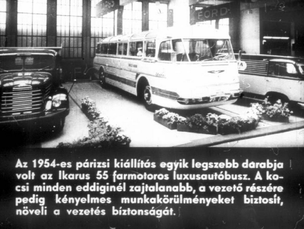 busz59.jpg