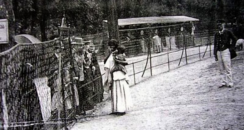 1897. Nigró Falu a berlini állatkertben. Még Bismarck is meglátogatta.