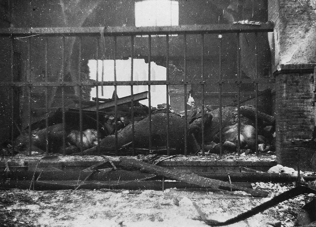 the_very_first_bomb_dropped_by_the_allies_on_berlin_during_world_war_ii_killed_the_only_elephant_in_the_berlin_zoo.jpg