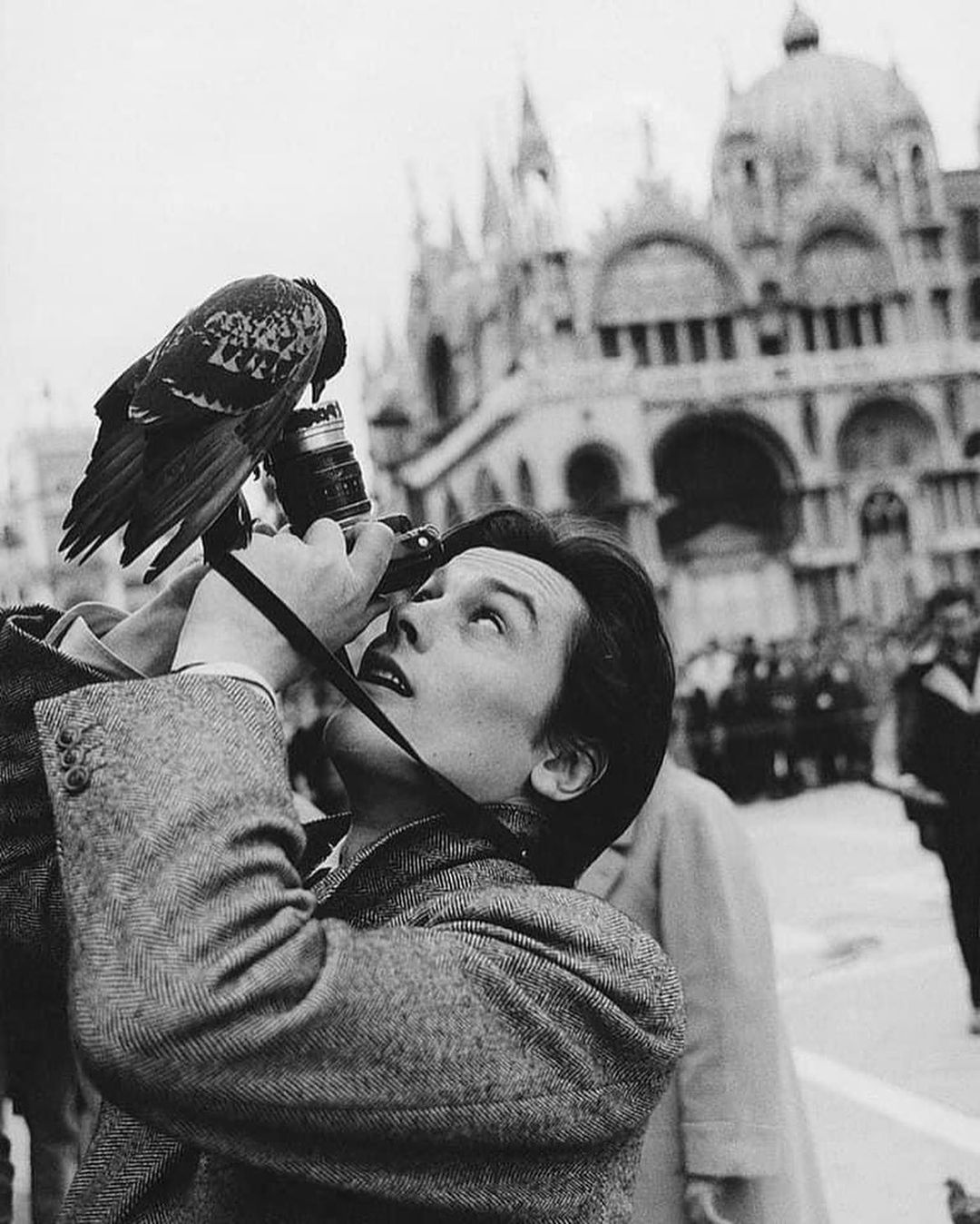 alain_delon_velence_1962.jpg