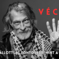 Vécsi Tibi - A megszállottság fontosabb, mint a tehetség