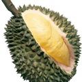 Könnyes búcsú, bye bye Big Durian