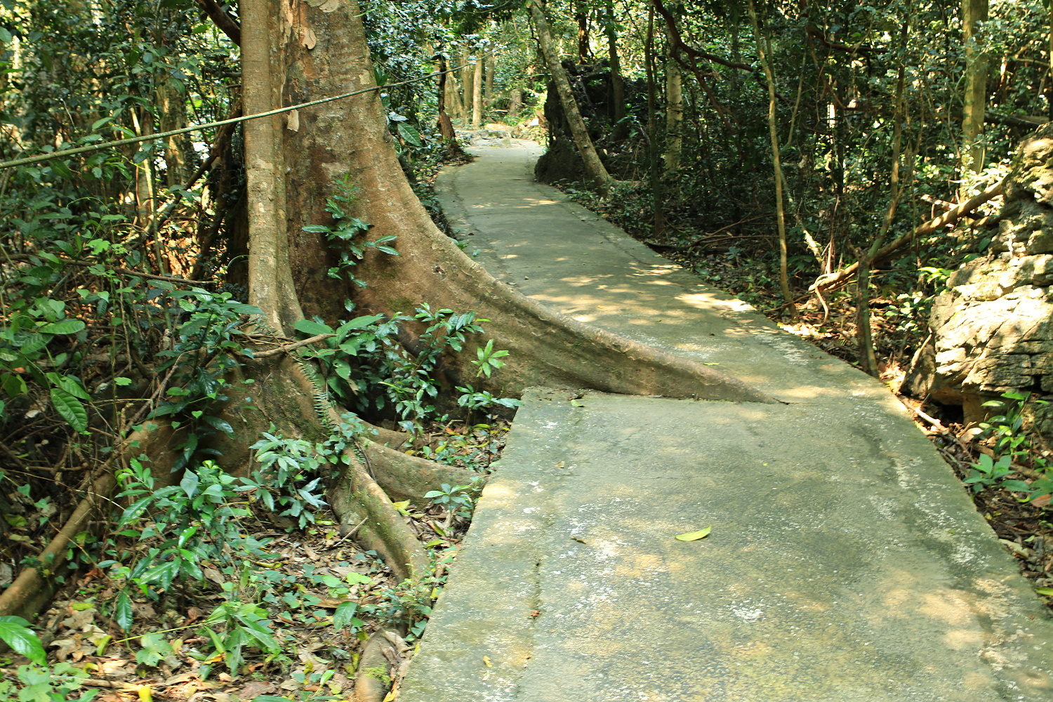 Úton a barlangba