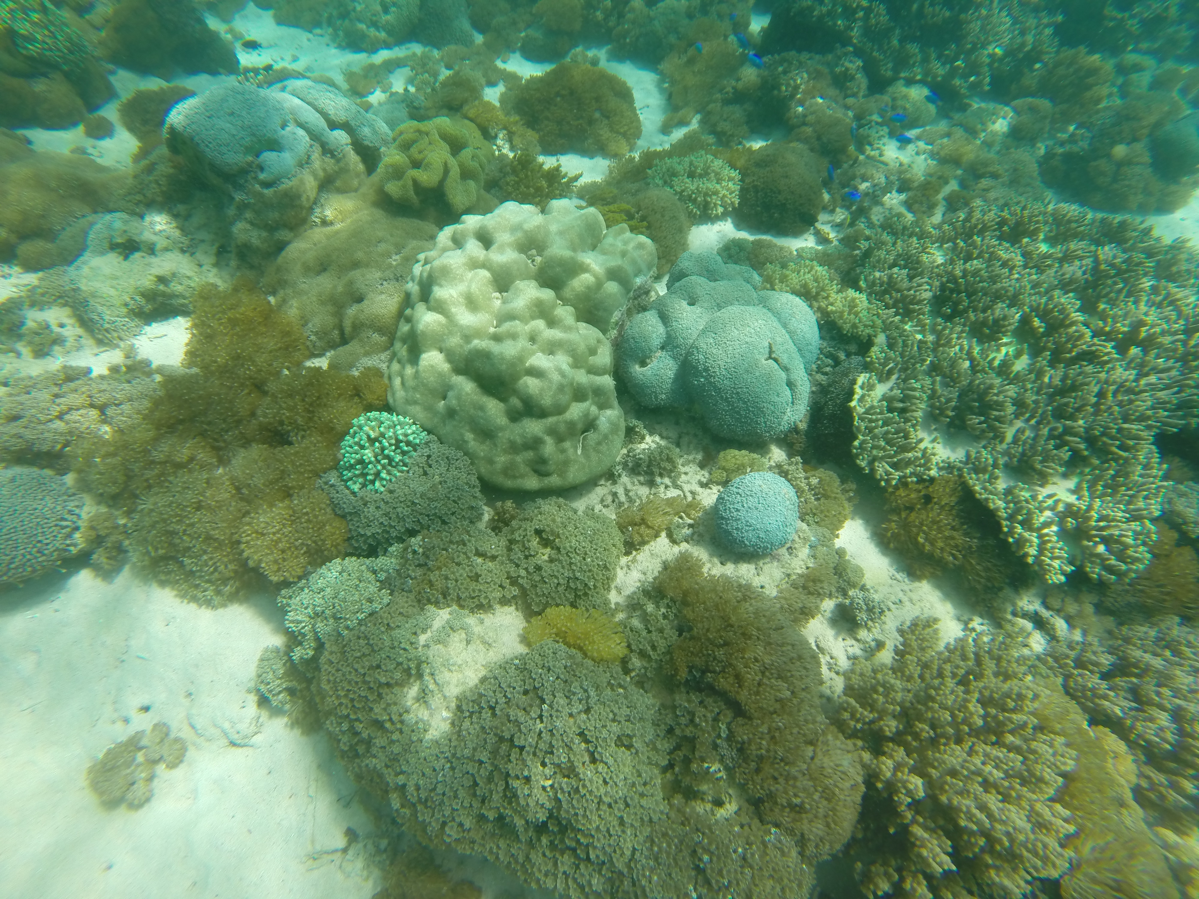 gopr0318.JPG