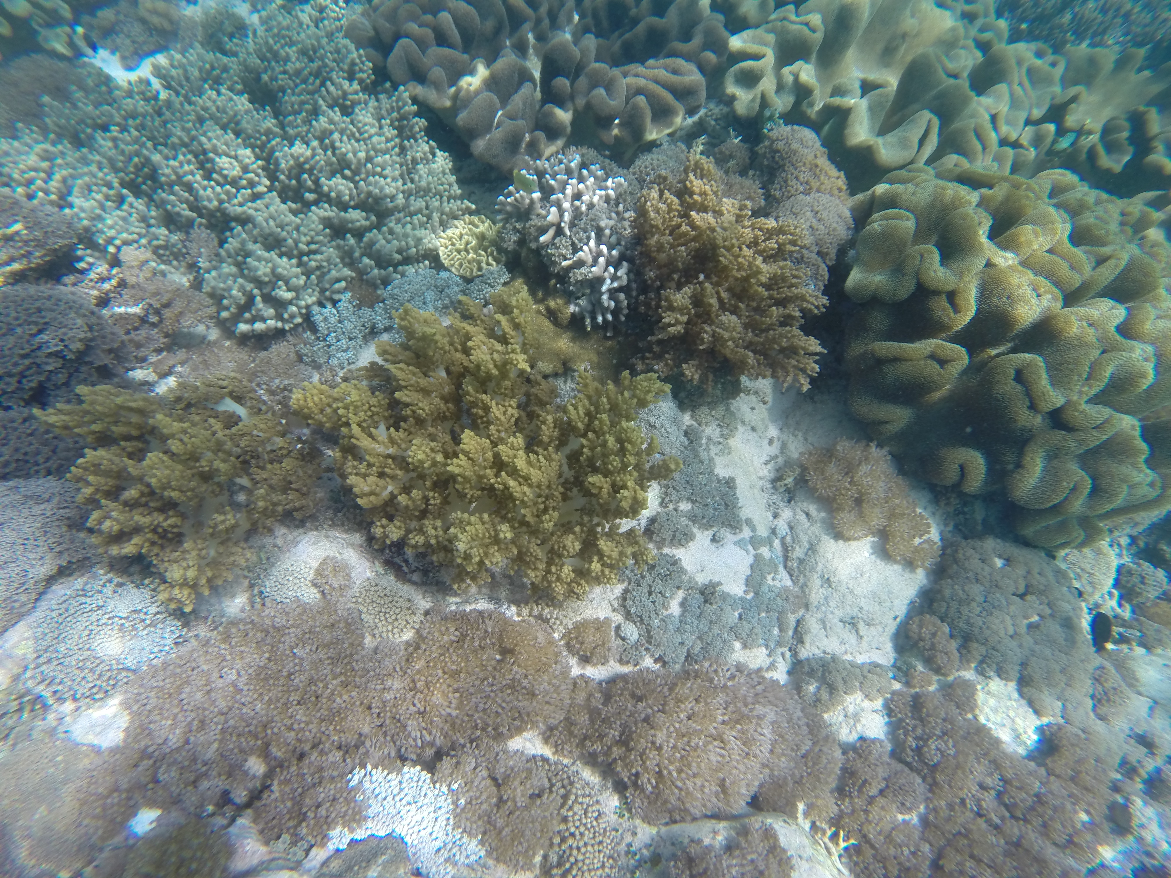 gopr0321.JPG