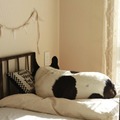 Bulldog: Chikuwa’s Vintage Doll Bed