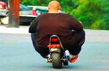 super-fat-man-on-a-scooter.jpg