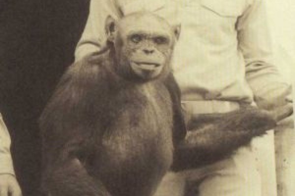 oliver-humanzee.jpg