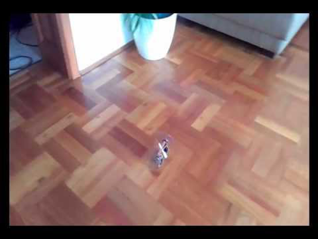 Magyarok a Marson 2013