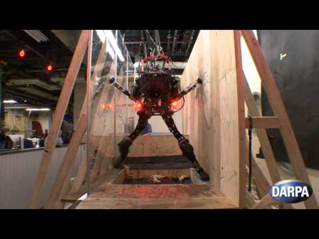 Pet-proto, az akadálymászó