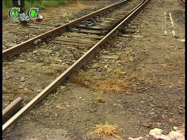 Gyomirtás a vasútnál