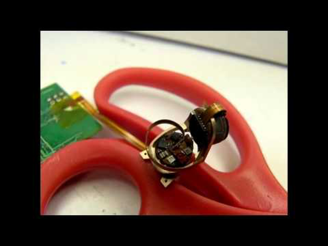 Milli-Motein, amire épp szükséged van