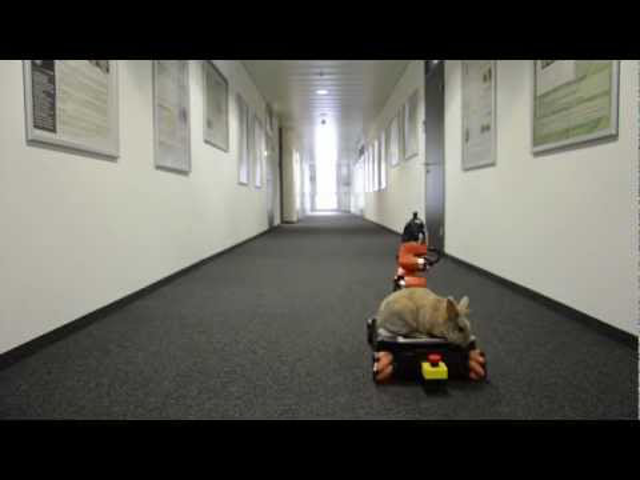 Húsvéti nyuszi vs. robothadsereg