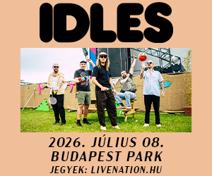 idles-300x250.jpg