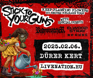 stick_to_your_guns-rockstation_banner-300x250.jpg