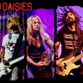 Érkezik a Dead Daisies, őrült rock bulit ígérnek