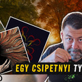 MMA 033: Tyúkszar a levesben