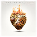 RockNuggets Vol195. / Seeds Of Mary - LOVE (2024)