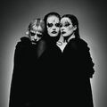 Witch Club Satan szentivánéji rituáléja blastbeatekkel fűszerezve