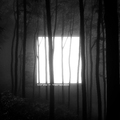 RockNuggets Vol.239 / TÖRZS - Menedék (Pelagic Records, 2025)