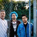 A NOFX és a patkány esete