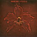 Albumsimogató: Machine Head - The Burning Red (Roadrunner, 1999)