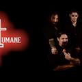 DieHumane - Új supergroup a láthatáron