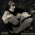 RockNuggets Vol171. / Zunz - Electric Sheeps (2024)